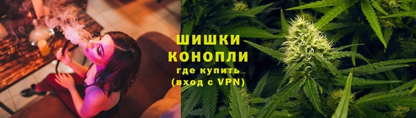 ECSTASY Вяземский