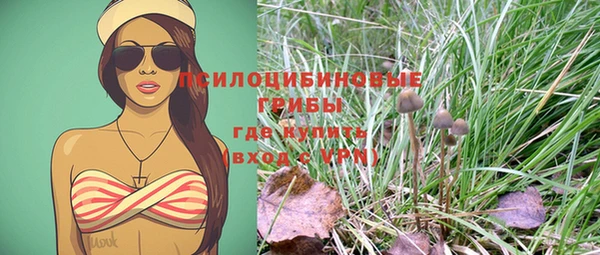 прущая мука Гусь-Хрустальный