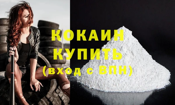 молекула духа Вязьма