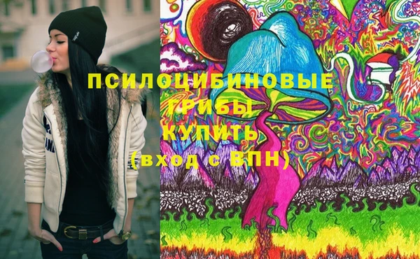 ECSTASY Вяземский