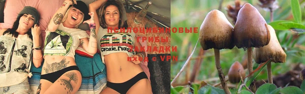 молекула духа Вязьма