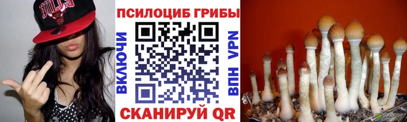 Псилоцибиновые грибы ЛСД  купить  цена  Купино 
